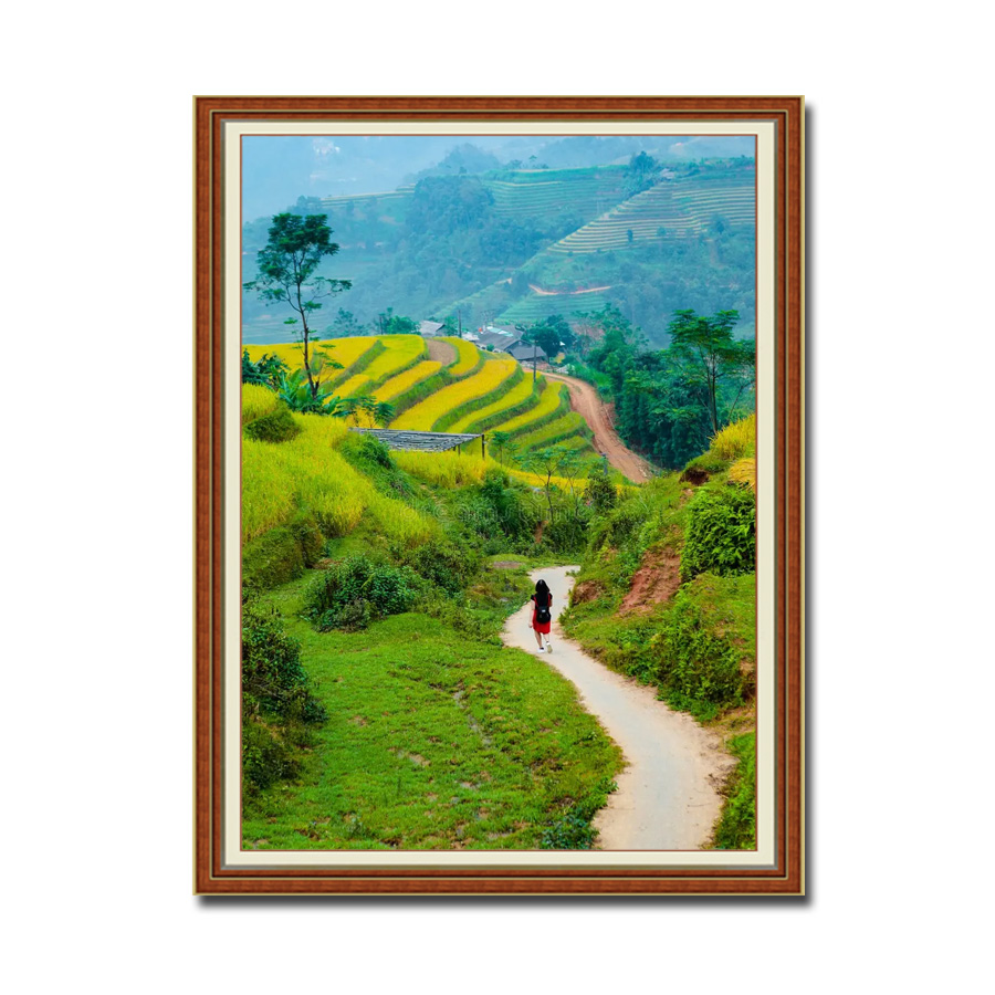 Tranh treo tường đẹp hình ảnh con đường miền núi với những thửa ruộng lúa bậc thang Amia35041
