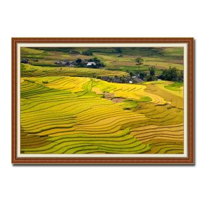 Tranh treo tường đẹp ruộng bậc thang và bản làng miền núi Amia72665
