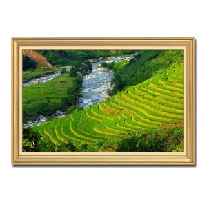 Bức tranh treo tường đẹp hình ảnh ruộng lúa bậc thang và dòng suối nhỏ Amia03209