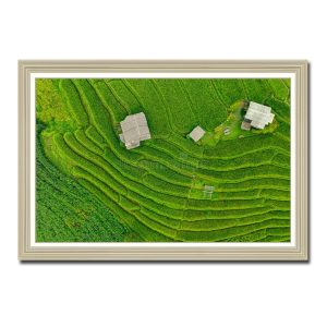 Bức tranh đẹp hình ảnh ruộng bậc thang nhìn từ trên cao xuống Amia87724