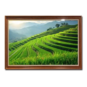 Bức tranh treo tường đẹp hình ảnh ruộng bậc thang lúa xanh tươi tốt Amia45410