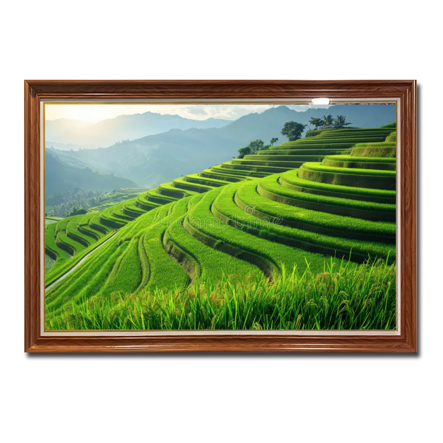 Bức tranh treo tường đẹp hình ảnh ruộng bậc thang lúa xanh tươi tốt Amia45410