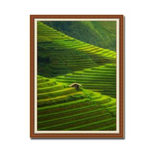 Một trong những bức tranh khổ đứng đẹp nhất về ruộng bậc thang Amia50885