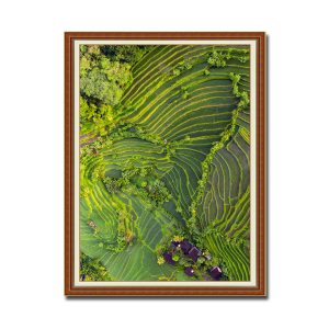 Ruộng lúa bậc thang và cây cối xanh tươi trong bức tranh treo tường khổ đứng Amia90885