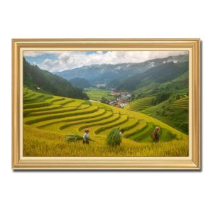 Bức tranh treo tường đẹp ruộng lúa bậc thang và phong cảnh Tây Bắc Amia57754