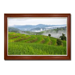 Tranh treo tường đẹp hình ảnh ruộng lúa bậc thang và núi non mây trắng bay Amia05525