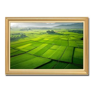 Những thửa ruộng lúa đẹp như vẽ trong bức tranh treo tường có khung