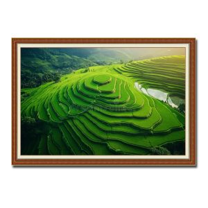 Một góc nhìn từ trên cao xuống ngọn núi với những thửa ruộng bậc thang đẹp lúa xanh mướt