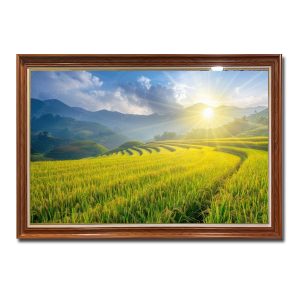 Tranh phong cảnh ruộng bậc thang múa lúa chín đẹp dưới ánh nắng vàng rực rỡ