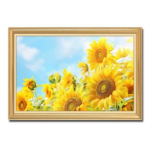 Bức tranh đẹp những bông hoa hướng dương vàng hướng lên bầu trời xanh