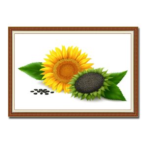 Bức tranh treo tường đẹp hình ảnh hoa và bát hạt hướng dương