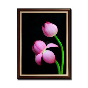 Bức tranh hoa sen hồng trên nền đen đẹp kiểu khổ đứng