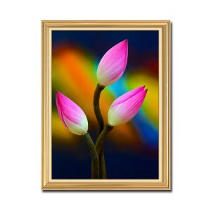 Bức tranh hoa sen hồng đẹp kiểu khổ đứng có khung