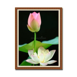 Bức tranh treo tường hoa sen trên nền đen đẹp kiểu khổ đứng