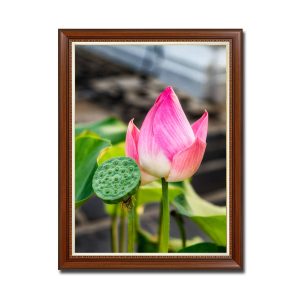 Bức tranh treo tường đẹp kiểu khổ đứng hình ảnh hoa sen hồng và bát sen