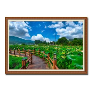 Bức tranh đẹp hình ảnh cây cầu gỗ bắc ra đầm hoa sen