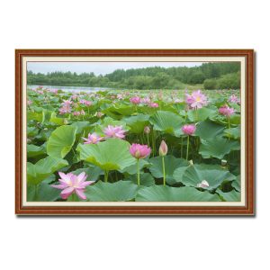 Bức tranh treo tường phong cảnh đầm sen hồng dịu mát thanh bình