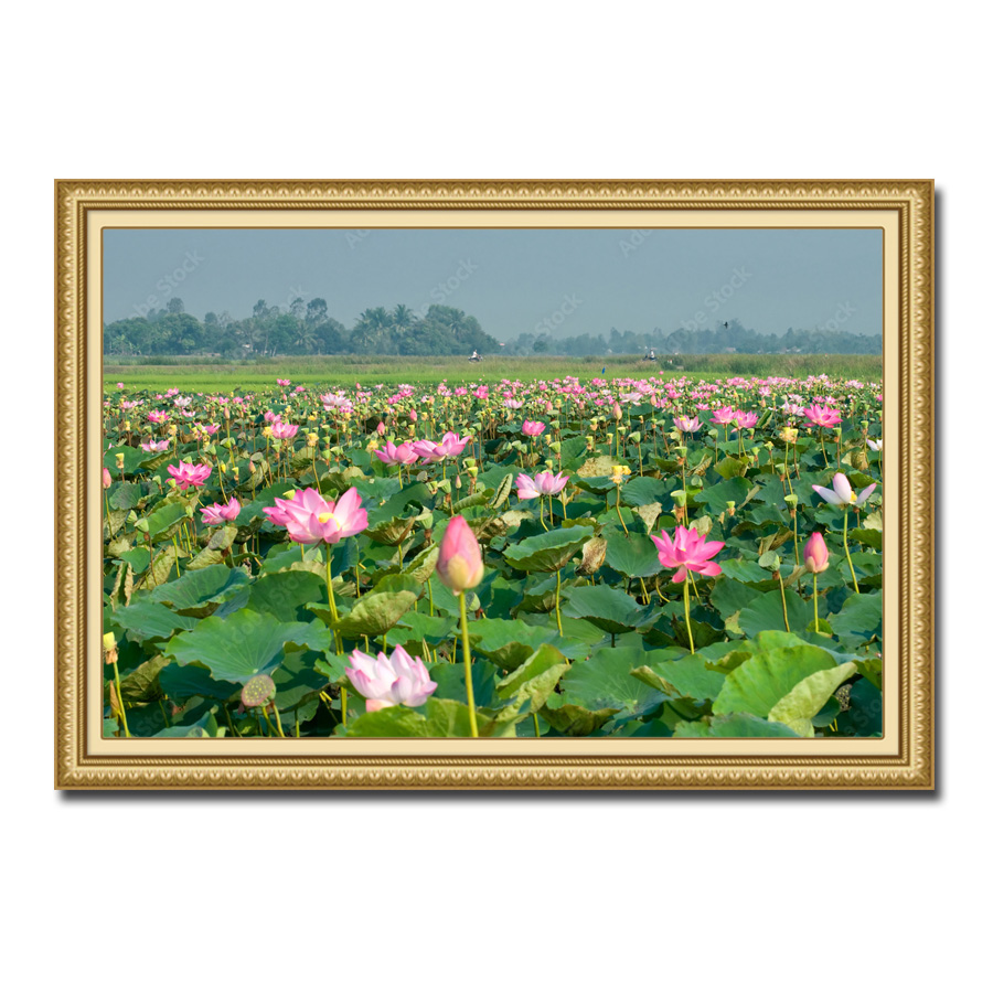 Tranh treo tường đẹp đầm sen hồng rực rỡ trăm hoa đua nở