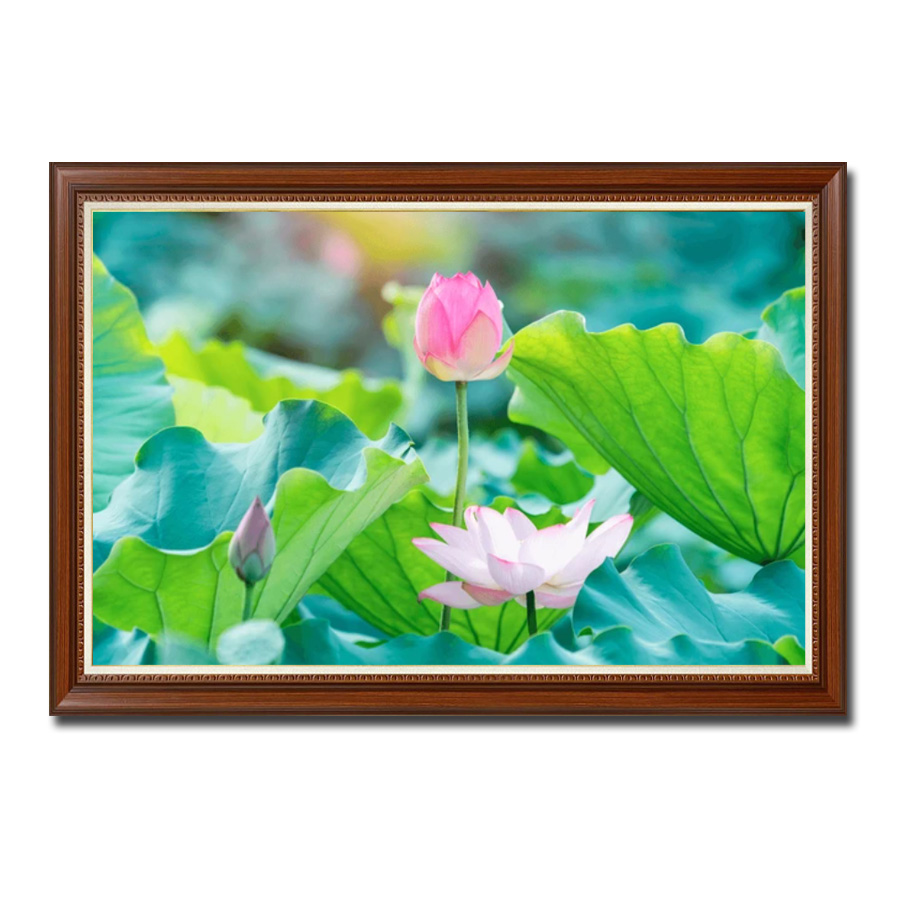 Bức tranh đầm hoa sen hồng đẹp dưới nắng