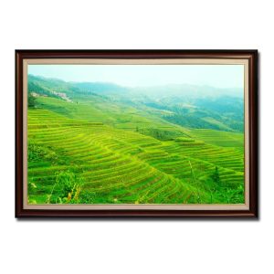 Tranh treo tường ruộng bậc thang và phong cảnh đẹp trong sương mờ Amia91269