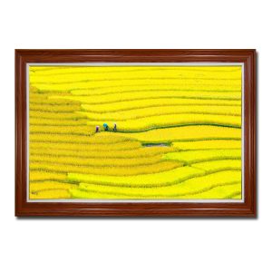 Một màu vàng rực rỡ của bức tranh treo tường ruộng lúa bậc thang Amia33050