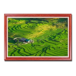 Bức tranh treo tường đẹp ngôi nhà nhỏ giữa những thửa ruộng bậc thang Amia42873