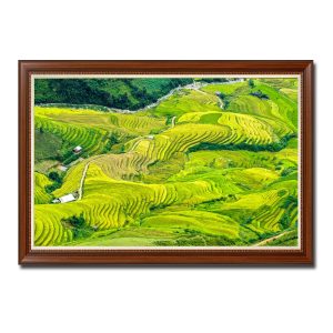 Bức tranh treo tường đẹp hình ảnh những thửa ruộng bậc thang men theo triền núi Amia02451