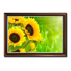 Bức tranh đẹp hình ảnh những bông hoa hướng dương vàng trên nền xanh