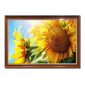 Bức tranh đẹp hình ảnh cận cảnh hoa hướng dương đẹp dưới nắng