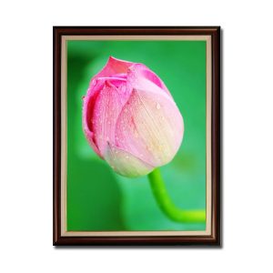 Tranh treo tường nụ hoa sen hồng đẹp kiểu khổ đứng