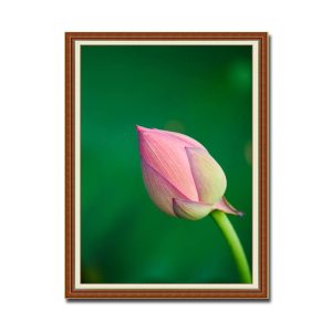 Bức tranh khổ đứng đẹp hình ảnh nụ hoa sen hồng trên nền xanh