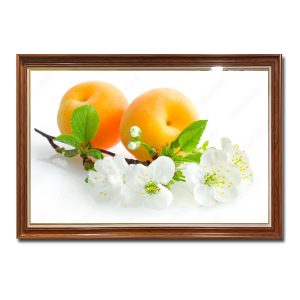 Mẫu tranh phòng ăn đẹp hình ảnh quả mơ chín và chùm hoa mơ trắng