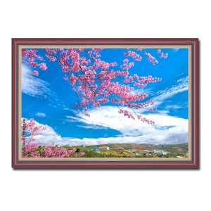 Mẫu tranh treo tường hình ảnh hoa anh đảo nở đẹp