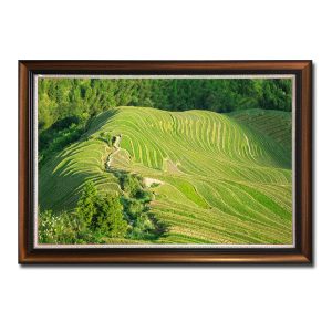 Tranh treo tường hình ảnh những thửa ruộng bậc thang bao phủ quả đồi xung quanh là cây cối xanh tươi Amia77274