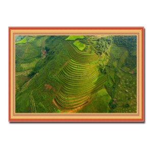 Bức tranh treo tường đẹp hình ảnh ruộng bậc thang và cây cối núi non nhìn từ trên cao Amia87613