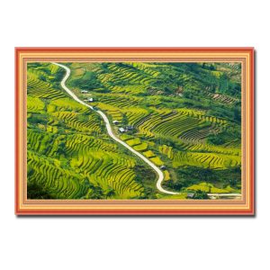 Bức tranh treo tường đẹp hình ảnh con đường uốn lượn với hai bên là những thửa ruộng bậc thang Amia72942