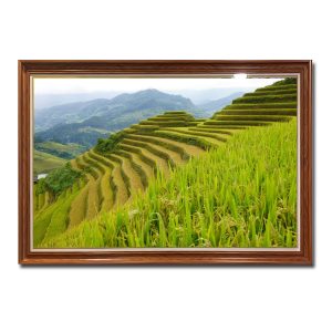 Bức tranh treo tường ruộng lúa bậc thang đẹp Amia17531