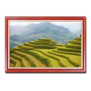 Hình ảnh bức tranh treo tường ruộng lúa bậc thang đẹp và núi rừng Tây Bắc Amia17645