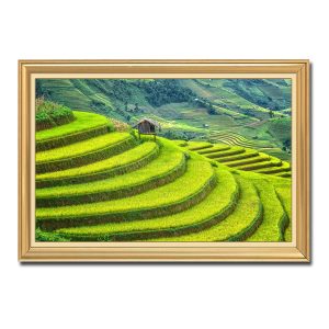 Hình ảnh tranh treo tường ruộng bậc thang đẹp Amia02922