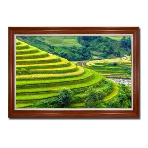 Tranh treo tường đẹp ruộng bậc thang và cây cối xanh tươi Amia07154