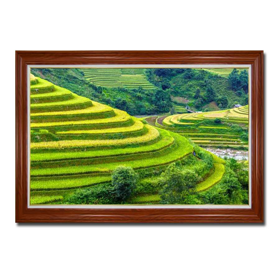 Tranh treo tường đẹp ruộng bậc thang và cây cối xanh tươi Amia07154