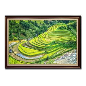 Bức tranh phong cảnh ruộng bậc thang và núi non Tây Bắc đẹp Amia28933