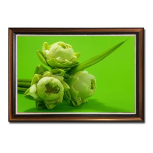Bức tranh đẹp hình bó hoa sen trắng 3 bông