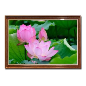 Mẫu tranh treo tường đầm hoa sen hồng đẹp