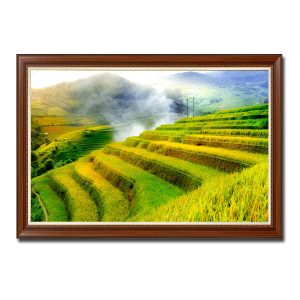 Bức tranh đẹp hình ảnh ruộng bậc thang mùa lúa chín