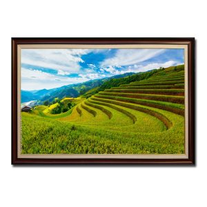Bức tranh đẹp hình ảnh những thửa ruộng lúa bậc thang