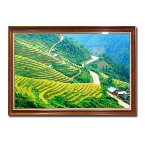 Bức tranh phong cảnh đẹp ruộng lúa bậc thang
