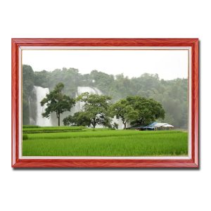 Mẫu tranh thác nước Bản Giốc đẹp với góc nhìn qua cánh đồng lúa xanh