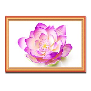 Bức tranh đẹp hình ảnh bông hoa sen trên nền trắng