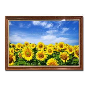 Mẫu tranh cánh đồng hoa hướng dương và mây trời trong xanh